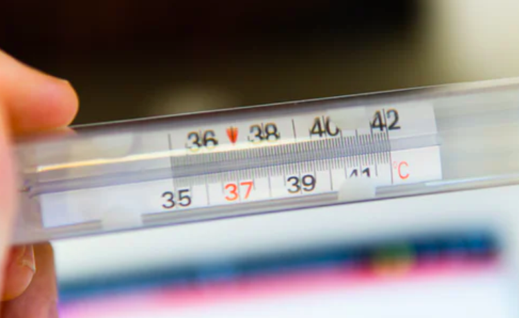 스크린샷 2020-11-08 오후 6.20.05