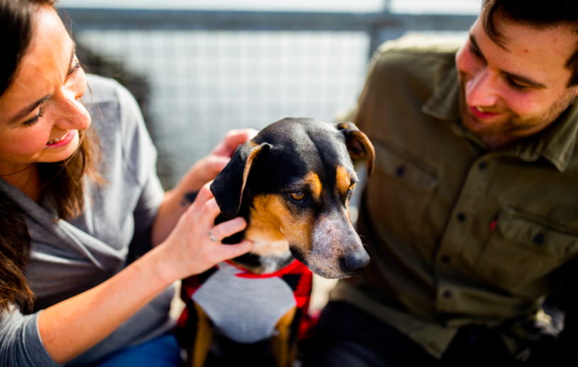 스크린샷 2020-11-14 오후 8.12.35