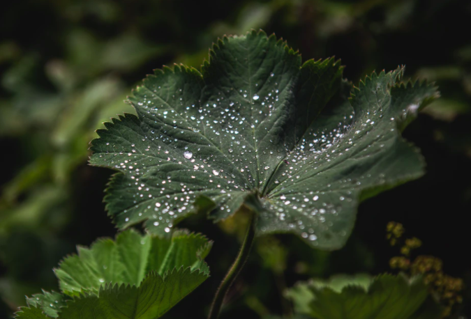 스크린샷 2020-12-15 오후 9.42.32