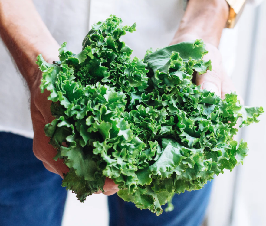 스크린샷 2021-01-16 오후 9.19.44