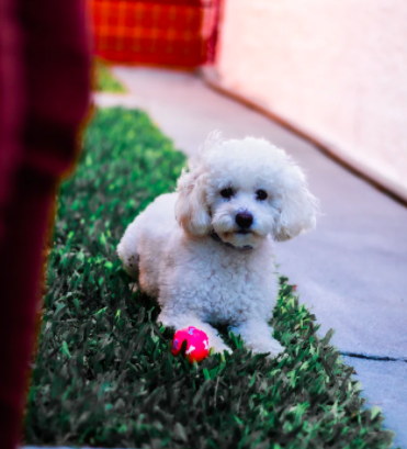 스크린샷 2021-01-31 오전 11.12.22