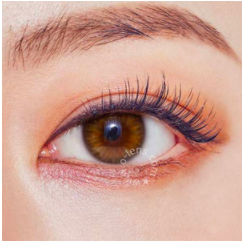 스크린샷 2021-02-07 오후 3.05.57