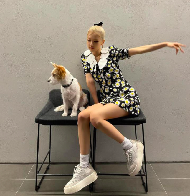 스크린샷 2021-03-28 오후 8.44.34