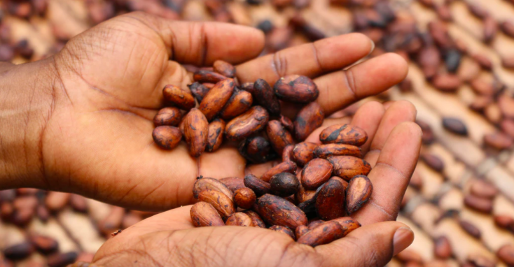 스크린샷 2021-05-09 오후 2.20.53