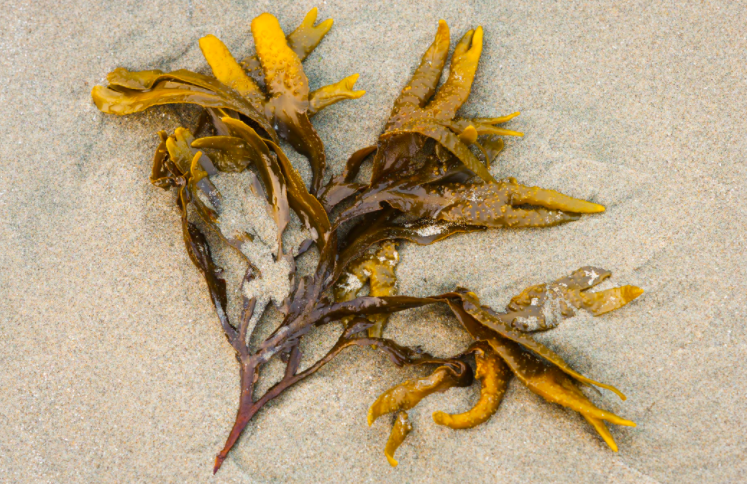 스크린샷 2021-05-09 오후 2.22.48