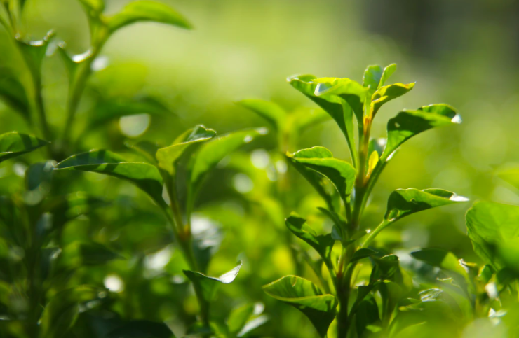 스크린샷 2021-05-09 오후 2.22.15