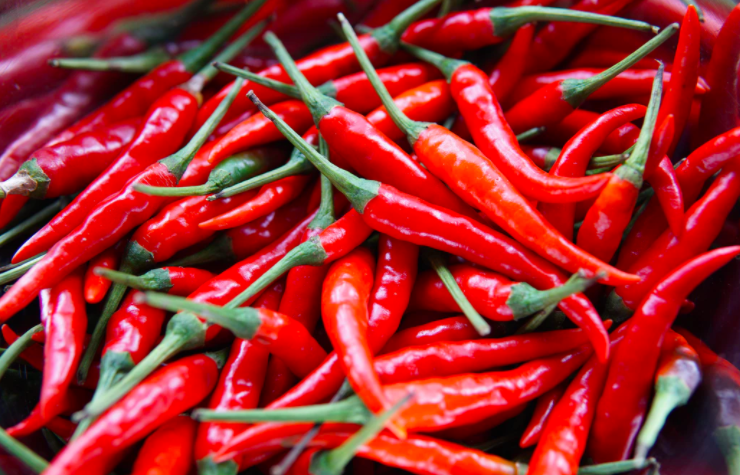 스크린샷 2021-05-09 오후 2.21.30