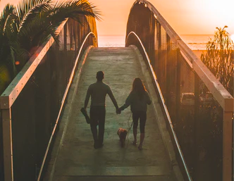 스크린샷 2021-07-04 오후 9.11.59