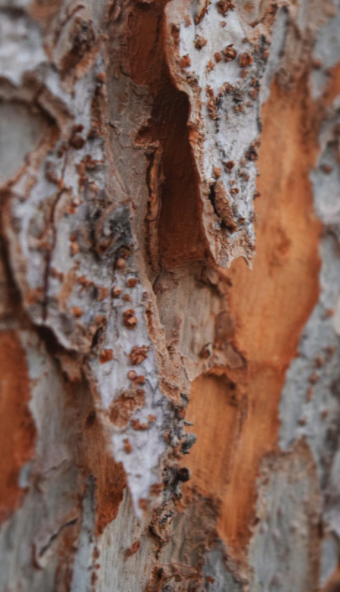 스크린샷 2021-07-11 오후 10.07.58