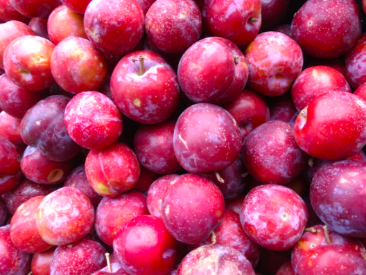 스크린샷 2021-07-11 오전 3.28.52