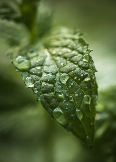 스크린샷 2021-07-11 오후 10.06.44