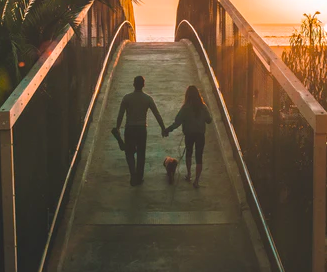 스크린샷 2021-07-18 오후 6.17.40