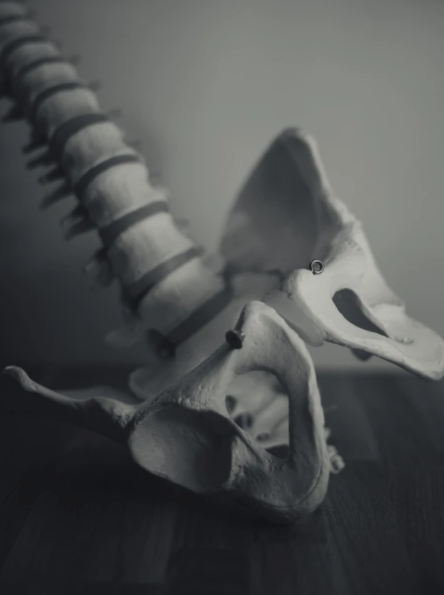 스크린샷 2021-08-16 오후 8.41.26