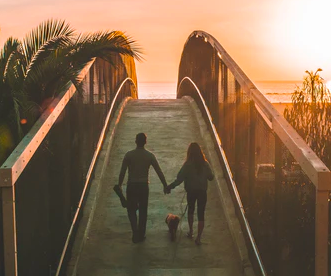 스크린샷 2021-08-29 오후 7.45.39