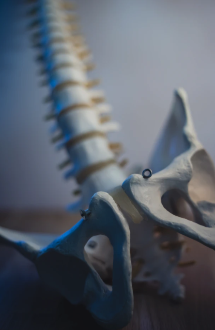 스크린샷 2021-08-16 오후 8.41.16