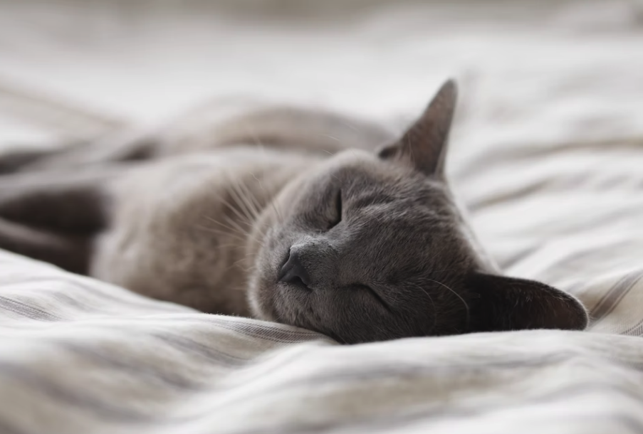 스크린샷 2021-09-21 오후 11.15.17