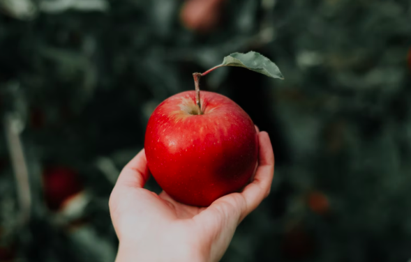 스크린샷 2022-01-09 오후 6.39.08