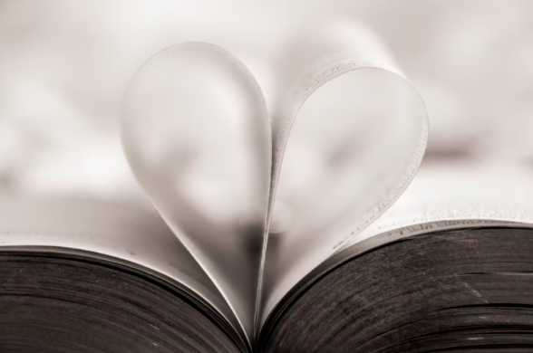 스크린샷 2022-01-02 오후 11.48.40