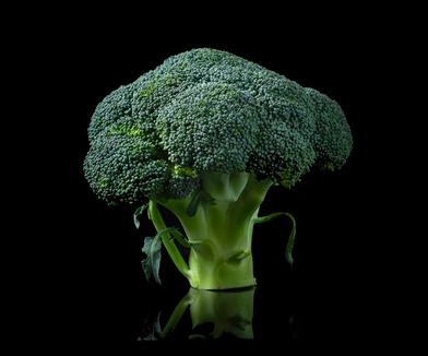 스크린샷 2022-02-04 오후 9.29.46