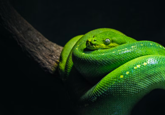 스크린샷 2022-02-05 오전 1.34.49