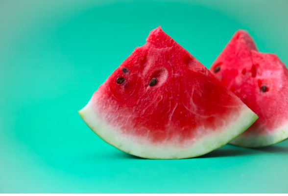 스크린샷 2022-02-13 오전 4.14.20