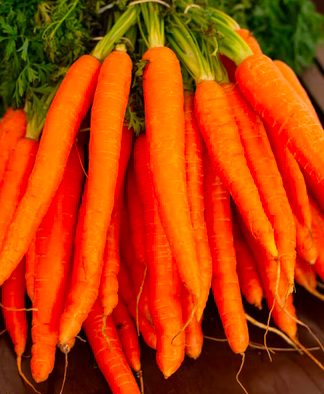 스크린샷 2022-02-04 오후 9.30.15