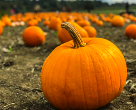 스크린샷 2022-02-13 오전 4.44.57