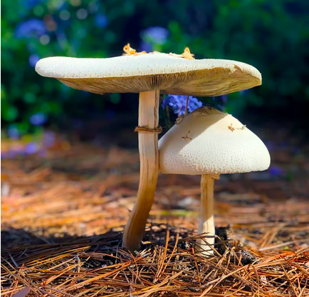 스크린샷 2022-02-04 오후 9.29.10