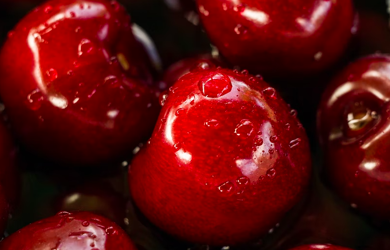 스크린샷 2022-03-23 오후 10.32.09