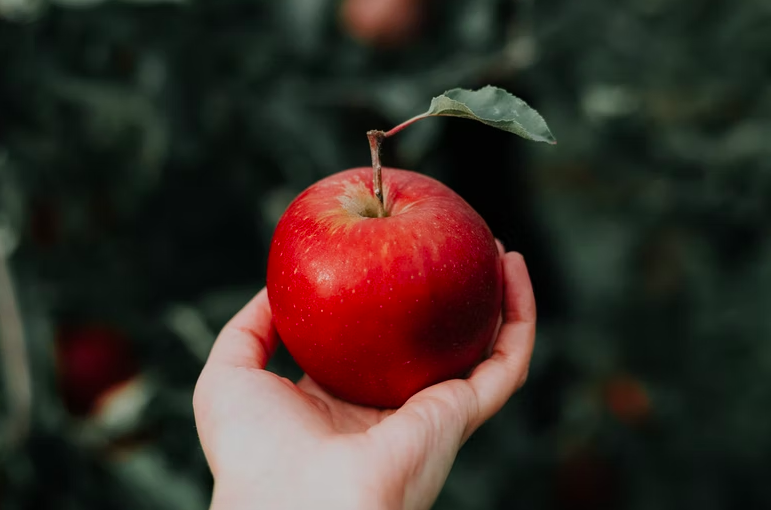 스크린샷 2022-04-24 오후 1.35.21