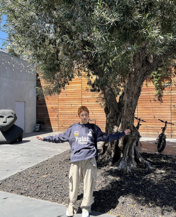 6d56cd39-115e-4d88-b501-22f73c3b4408