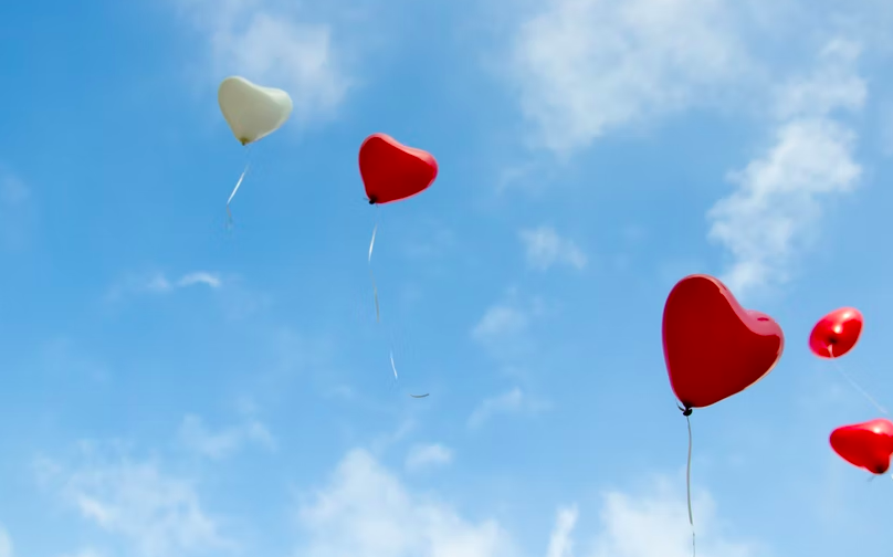 스크린샷 2022-05-06 오전 1.37.18