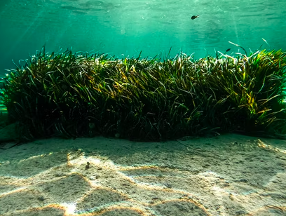 스크린샷 2022-06-04 오전 11.44.00