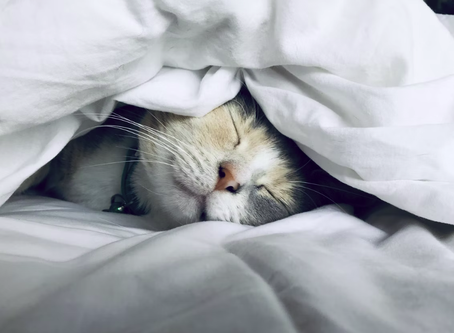 스크린샷 2022-06-12 오후 8.20.43