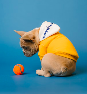 스크린샷 2022-07-23 오후 10.53.36