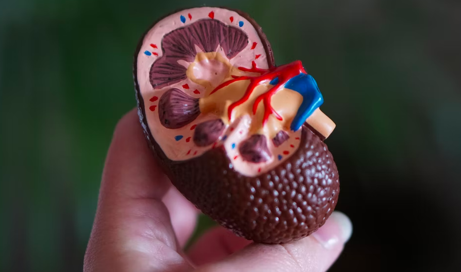 스크린샷 2022-07-24 오후 5.32.59