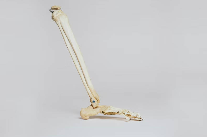 스크린샷 2022-07-24 오후 6.10.28