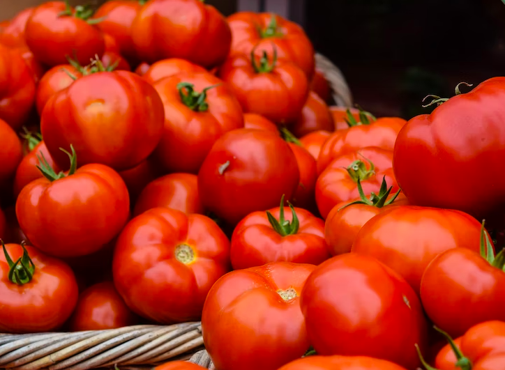 스크린샷 2022-08-21 오전 1.03.57