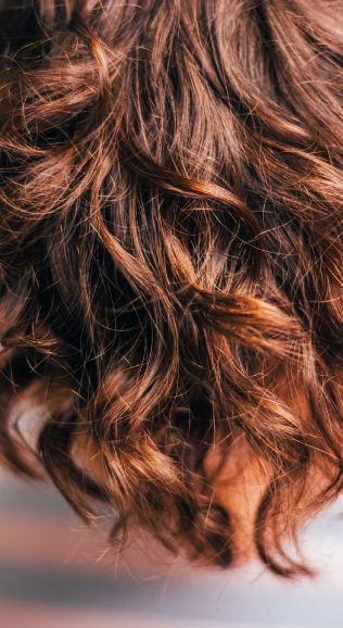 스크린샷 2022-08-27 오후 2.09.23