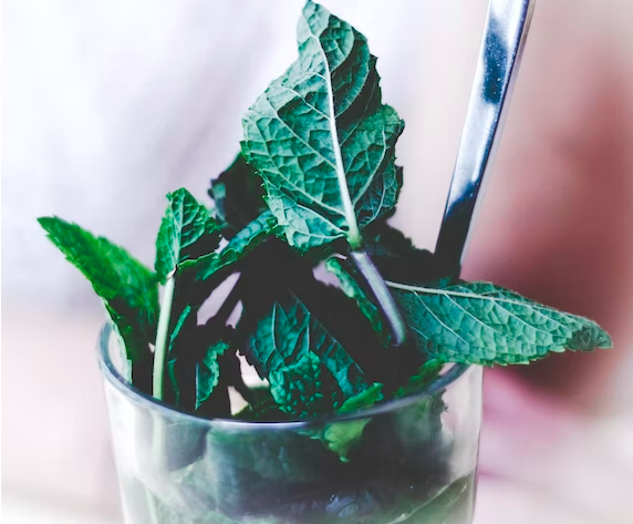 스크린샷 2022-08-21 오전 1.30.56