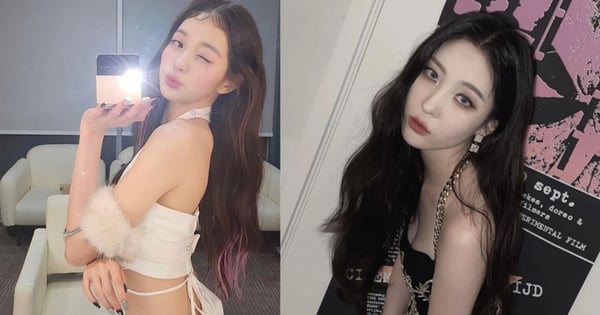 셀럽들이 실제로 사용한다는 향수가 궁금하다면?