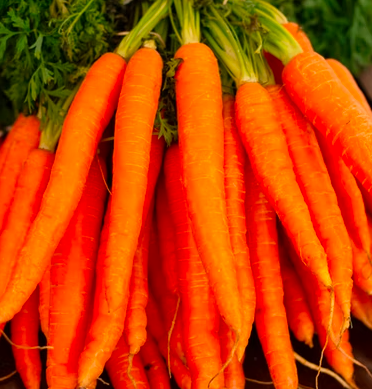 스크린샷 2022-09-06 오전 12.40.19