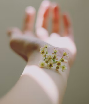 스크린샷 2022-09-18 오후 12.52.08