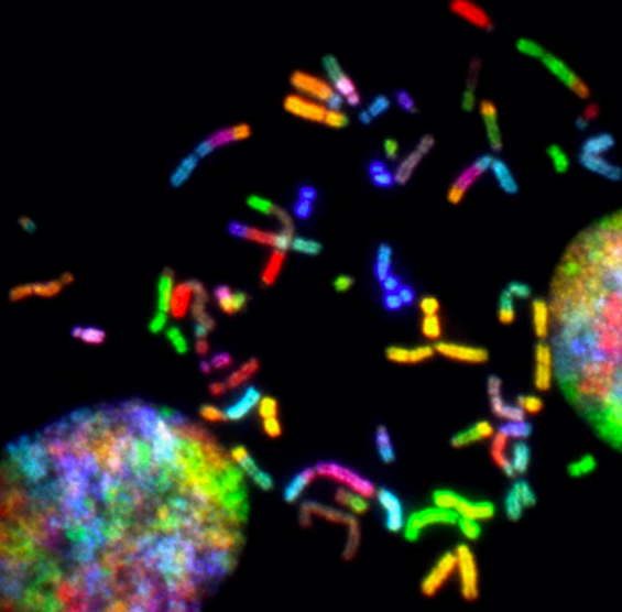 스크린샷 2022-09-04 오후 2.47.49