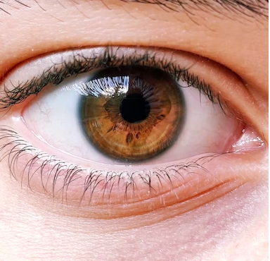 스크린샷 2022-10-23 오후 12.50.29