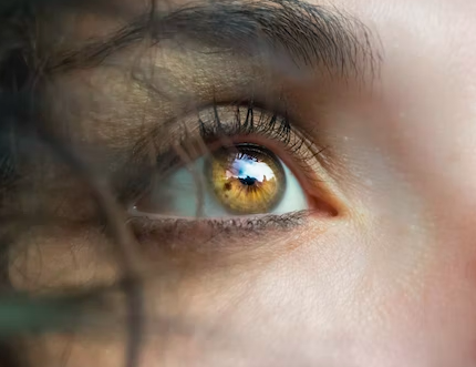 스크린샷 2022-11-26 오후 3.07.17