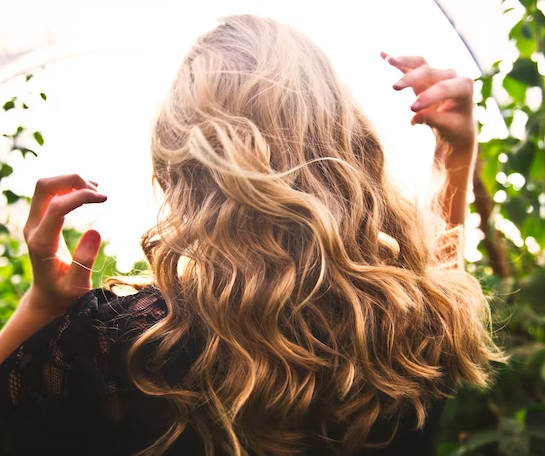 스크린샷 2022-11-19 오전 10.45.47