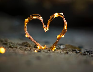 스크린샷 2022-11-30 오후 10.02.29