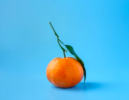 스크린샷 2022-11-19 오전 11.13.09