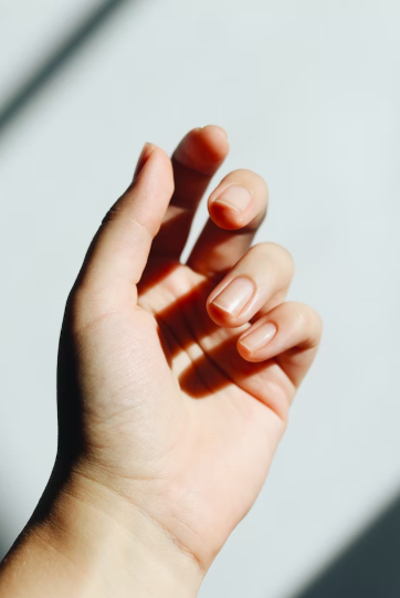 스크린샷 2022-11-27 오후 5.00.14